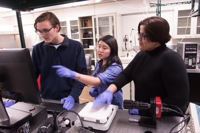 Photo of Logan, Wenqi, and Prof. Toor in the lab