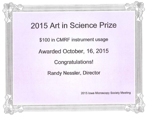 Art in Science prize certificate