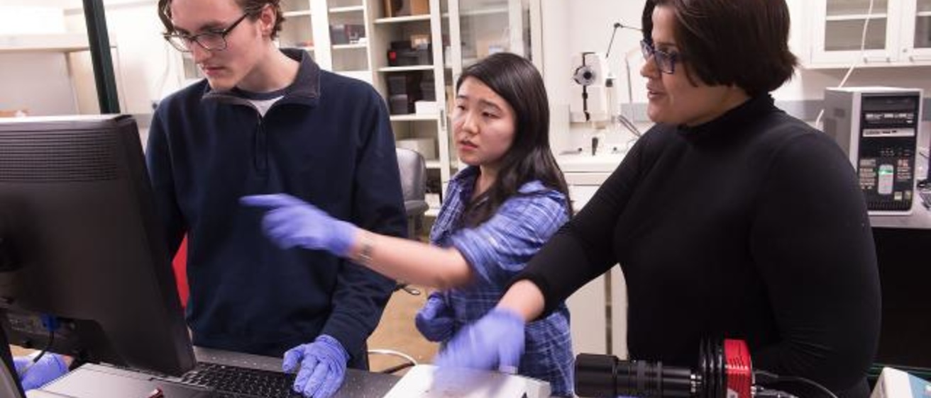 UI engineering professor Fatima Toor and her student researchers, Logan Nichols and Wenqi Duan, discuss the results of a photo they took using an infrared camera. 