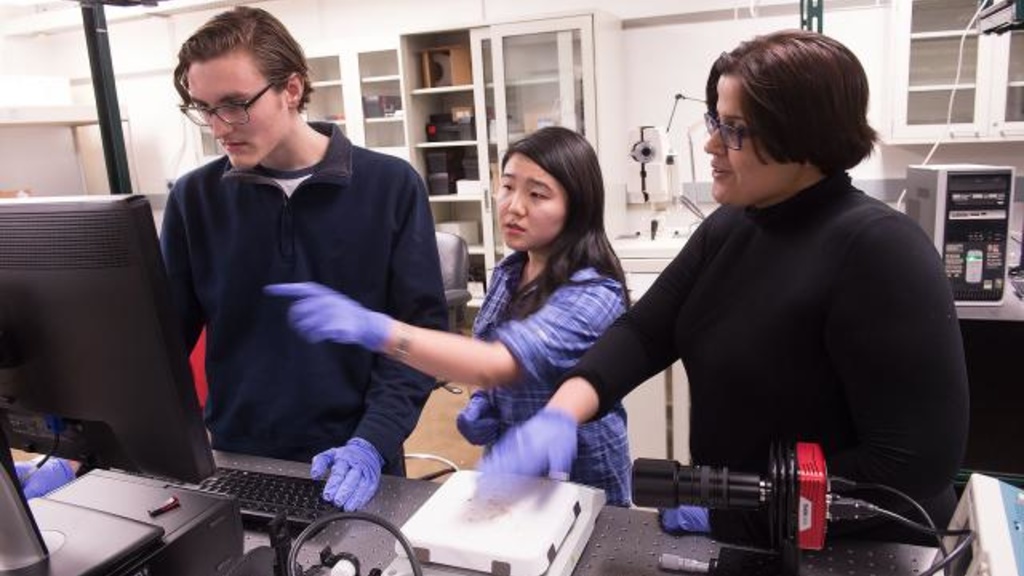 UI engineering professor Fatima Toor and her student researchers, Logan Nichols and Wenqi Duan, discuss the results of a photo they took using an infrared camera. 