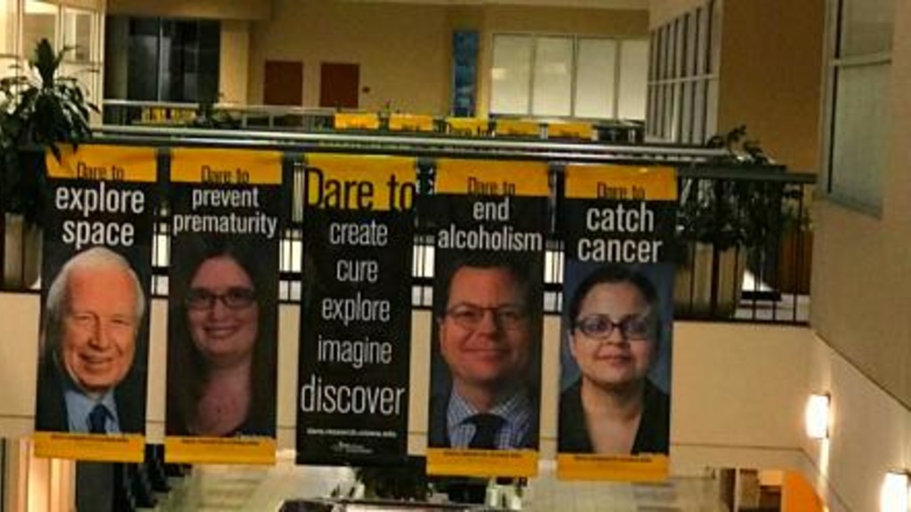 Photo of Dare to Discover banners