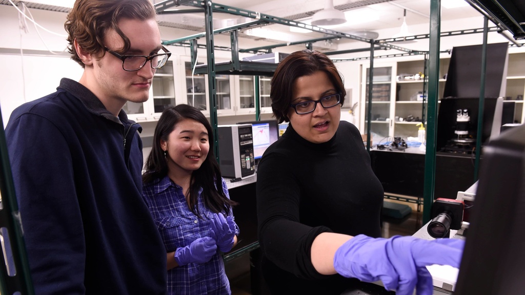 Fatima Toor Works with researchers in her lab